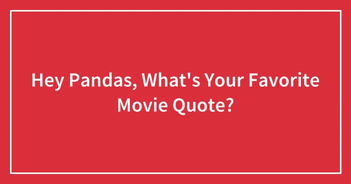 Hey Pandas, What's Your Favorite Movie Quote?
