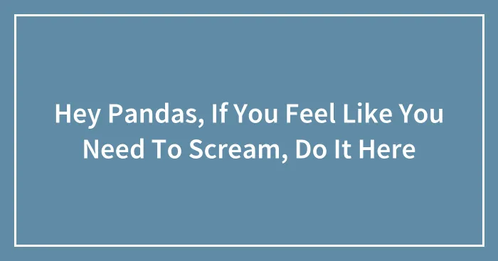 Hey Pandas, If You Feel Like You Need To Scream, Do It Here
