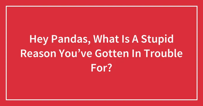 Hey Pandas, What Is A Stupid Reason You’ve Gotten In Trouble For? (Closed)