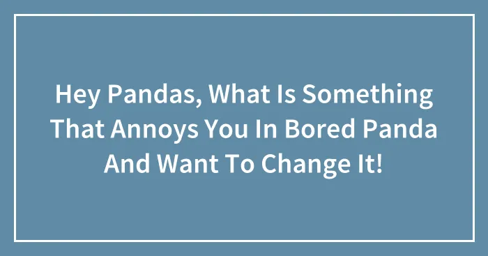 Hey Pandas, What Is Something That Annoys You In Bored Panda And Want To Change It!