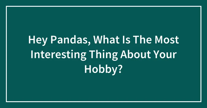 Hey Pandas, What Is The Most Interesting Thing About Your Hobby?