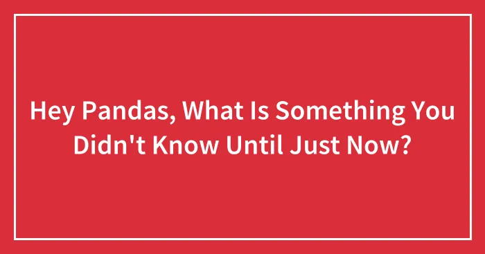 Hey Pandas, What Is Something You Didn't Know Until Just Now?
