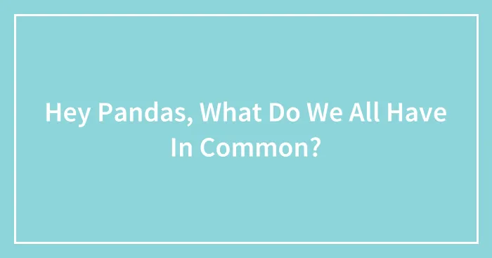Hey Pandas, What Do We All Have In Common?