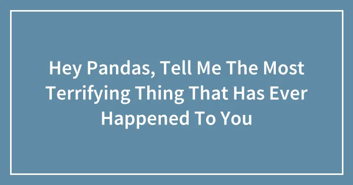 Hey Pandas, Tell Me The Most Terrifying Thing That Has Ever Happened To You
