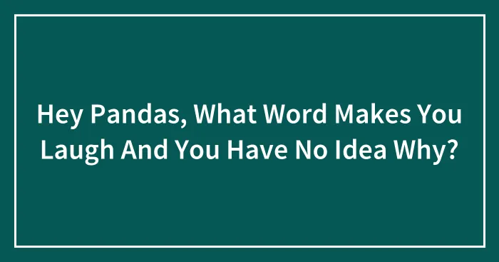 Hey Pandas, What Word Makes You Laugh And You Have No Idea Why? (Closed)