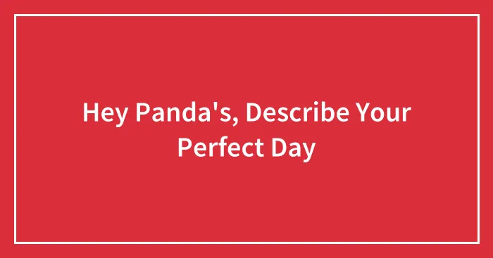Hey Panda's, Describe Your Perfect Day