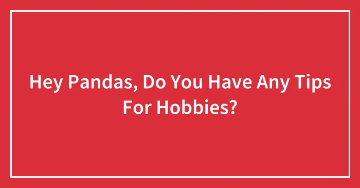 Hey Pandas, Do You Have Any Tips For Hobbies? (Closed)