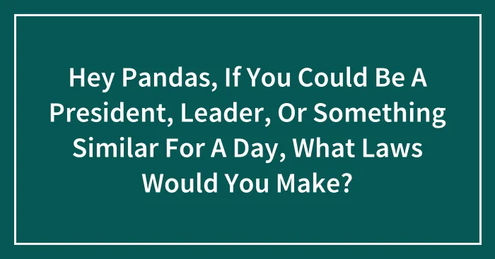 Hey Pandas, If You Could Be A President, Leader, Or Something Similar For A Day, What Laws Would You Make? (Closed)