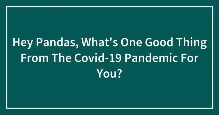 Hey Pandas, What's One Good Thing From The Covid-19 Pandemic For You? (Closed)