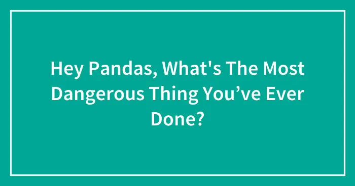 Hey Pandas, What's The Most Dangerous Thing You’ve Ever Done? (Closed)