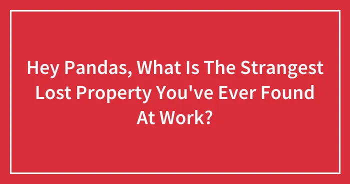 Hey Pandas, What Is The Strangest Lost Property You've Ever Found At Work? (Closed)