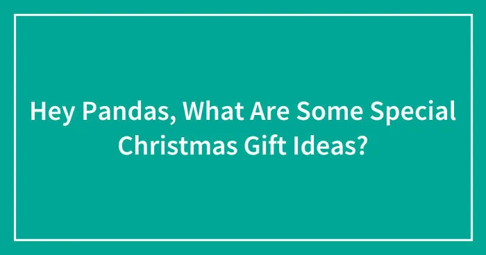 Hey Pandas, What Are Some Special Christmas Gift Ideas? (Closed)