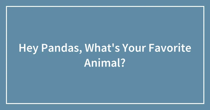 Hey Pandas, What's Your Favorite Animal?