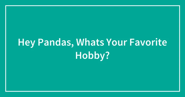Hey Pandas, Whats Your Favorite Hobby?