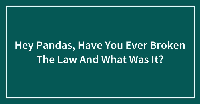 Hey Pandas, Have You Ever Broken The Law And What Was It? (Closed)