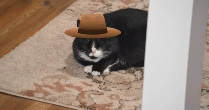 Hey Pandas, Post A Picture Of Your Cat With A Hat On (Closed)