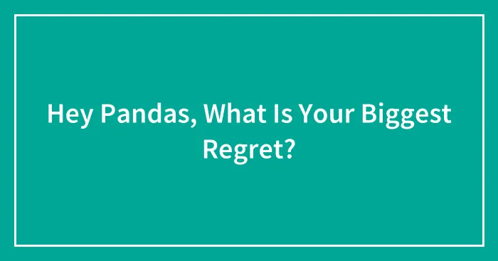 Hey Pandas, What Is Your Biggest Regret?