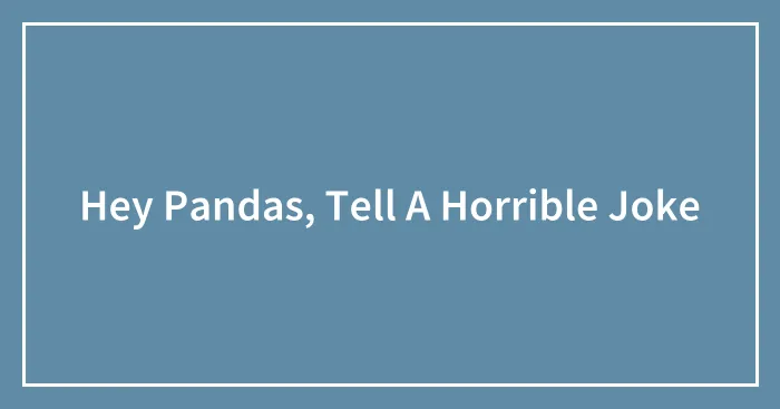 Hey Pandas, Tell A Horrible Joke