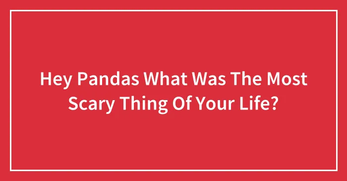 Hey Pandas What Was The Most Scary Thing Of Your Life?