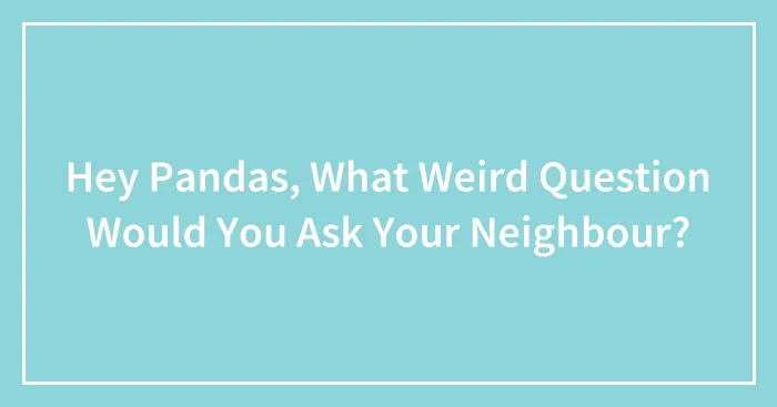 Hey Pandas, What Weird Question Would You Ask Your Neighbour? (Closed)