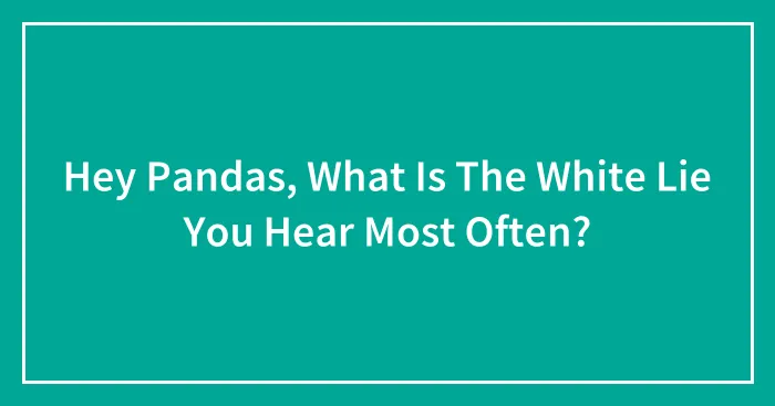 Hey Pandas, What Is The White Lie You Hear Most Often?