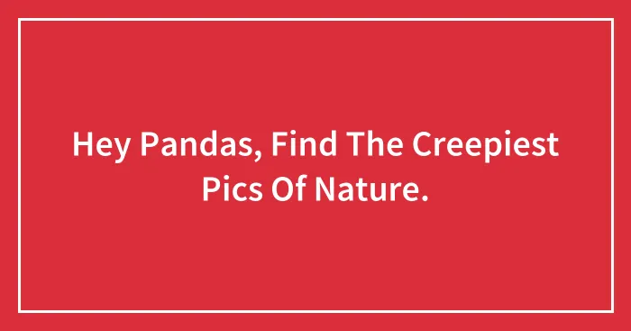Hey Pandas, Find The Creepiest Pics Of Nature.