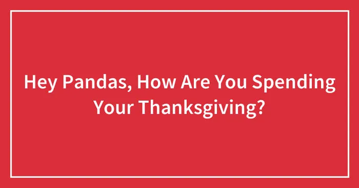 Hey Pandas, How Are You Spending Your Thanksgiving? (Closed)