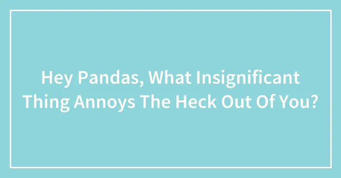 Hey Pandas, What Insignificant Thing Annoys The Heck Out Of You?
