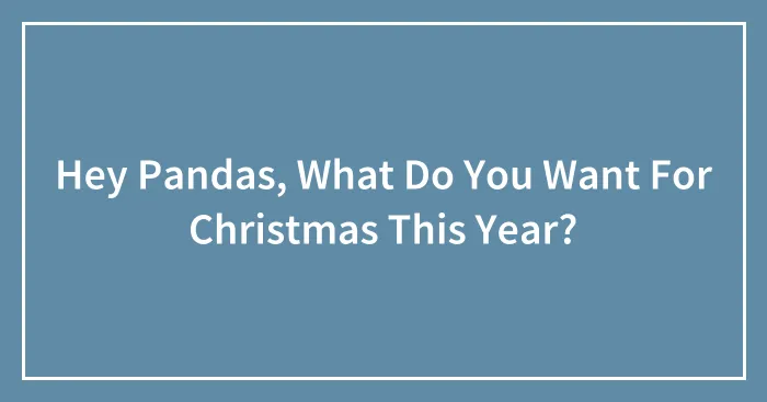 Hey Pandas, What Do You Want For Christmas This Year? (Closed)