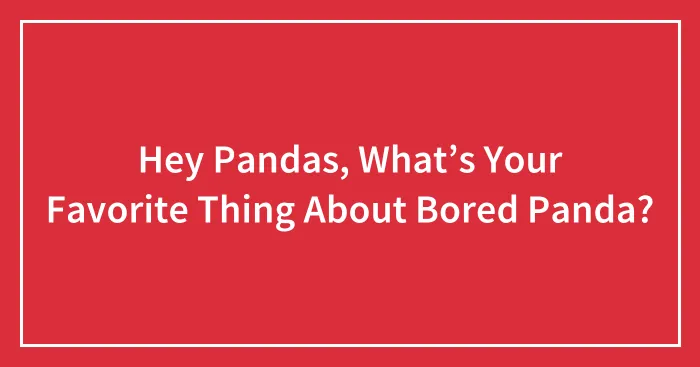 Hey Pandas, What’s Your Favorite Thing About Bored Panda?
