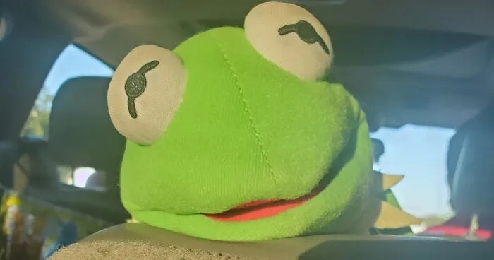 Hey Pandas, Photoshop This Picture Of Kermit (Closed)