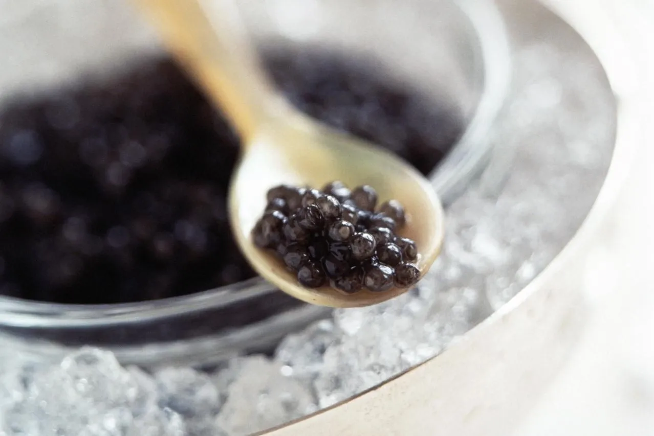 Here Are 40 Fun And Surprising Facts About Food And Restaurants