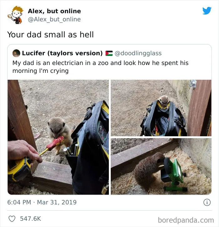50 Times A Comment Was So Good, It Made Its Way Onto The 'Comment Awards' Instagram Account
