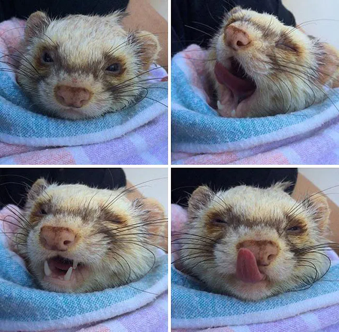 I Lost My Special Boy At 8 Years Old Tonight. Sharing This Photo In His Memory. I Will Forever Miss Him, It Hurts So Bad