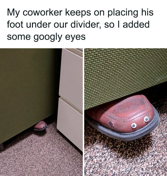 Silly Goose Alert
