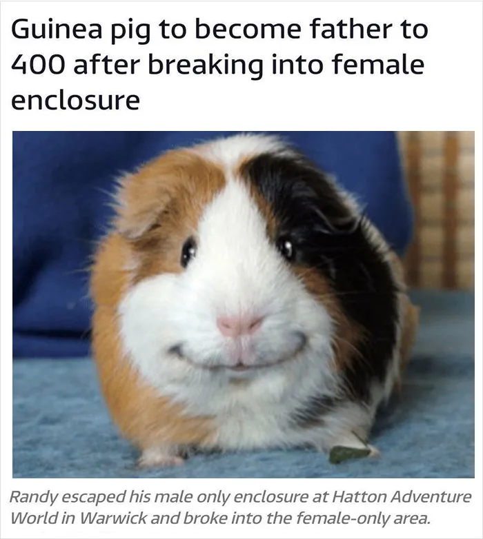 Legend
