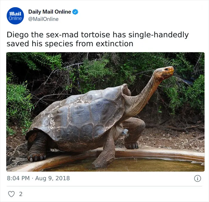 Look How Proud He Is