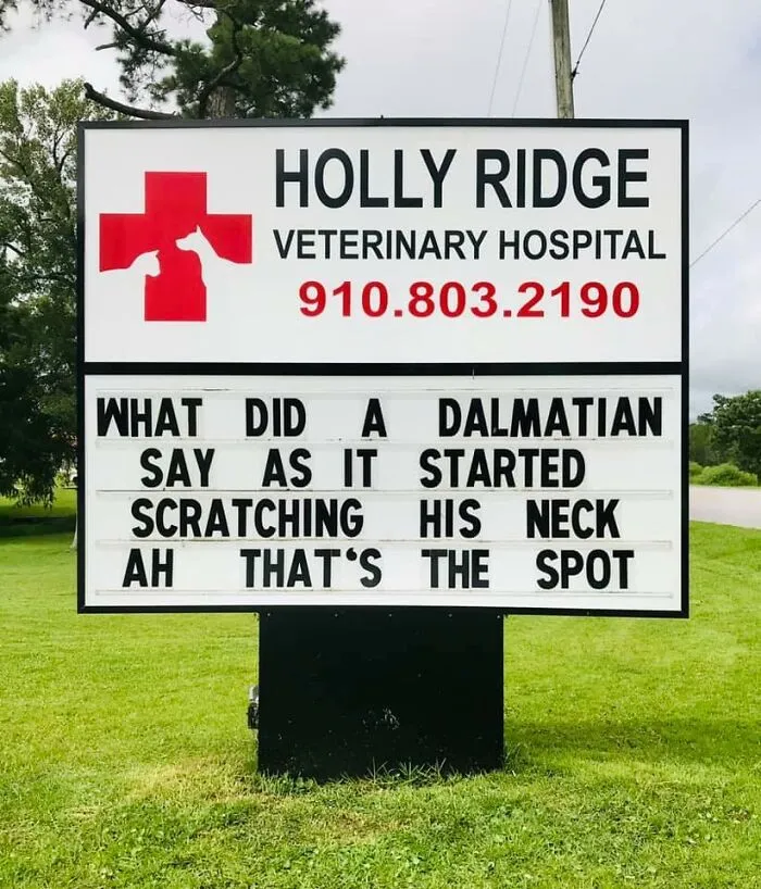30 Of The Funniest Outdoor Signs From This Vet Hospital To Make You Crack A Smile