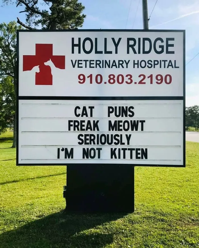30 Of The Funniest Outdoor Signs From This Vet Hospital To Make You Crack A Smile