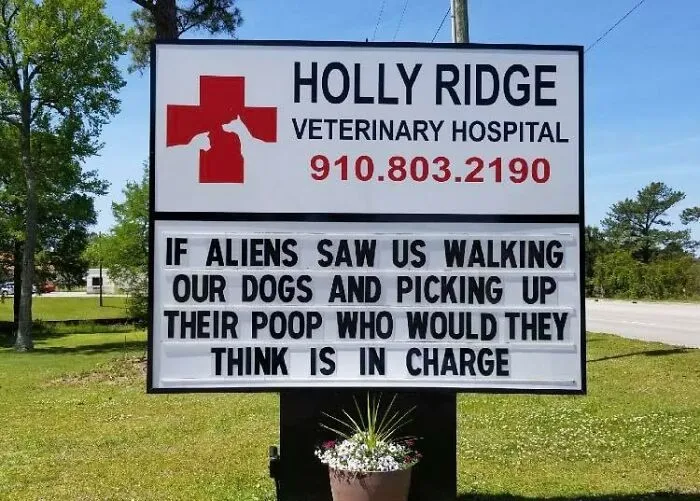 30 Of The Funniest Outdoor Signs From This Vet Hospital To Make You Crack A Smile