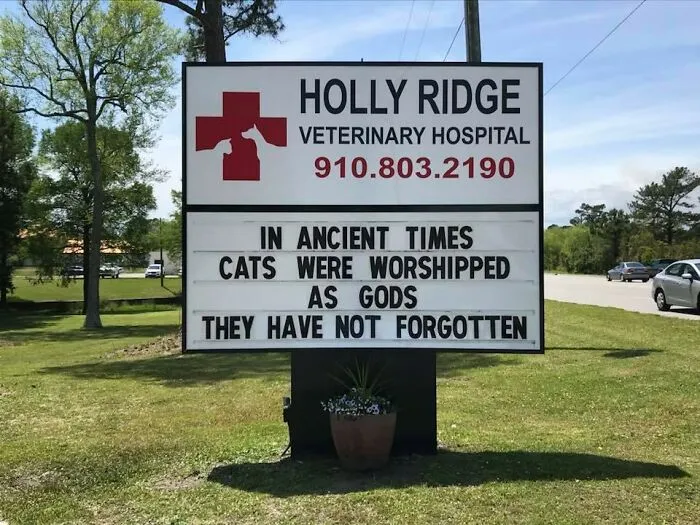 30 Of The Funniest Outdoor Signs From This Vet Hospital To Make You Crack A Smile