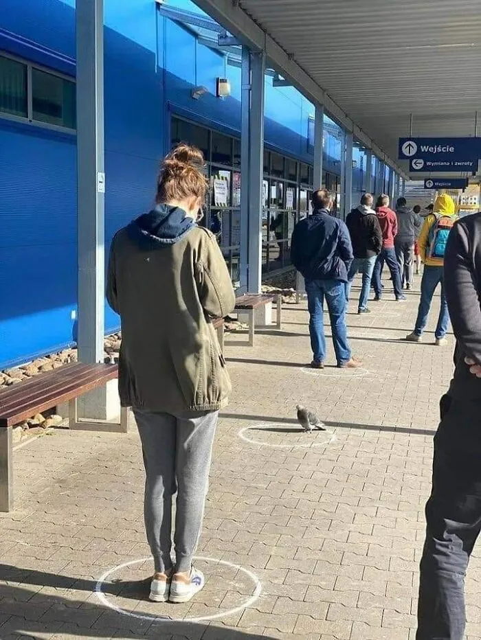 40 Fotos de polacos en redes sociales que provocan tanto preguntas como respuestas