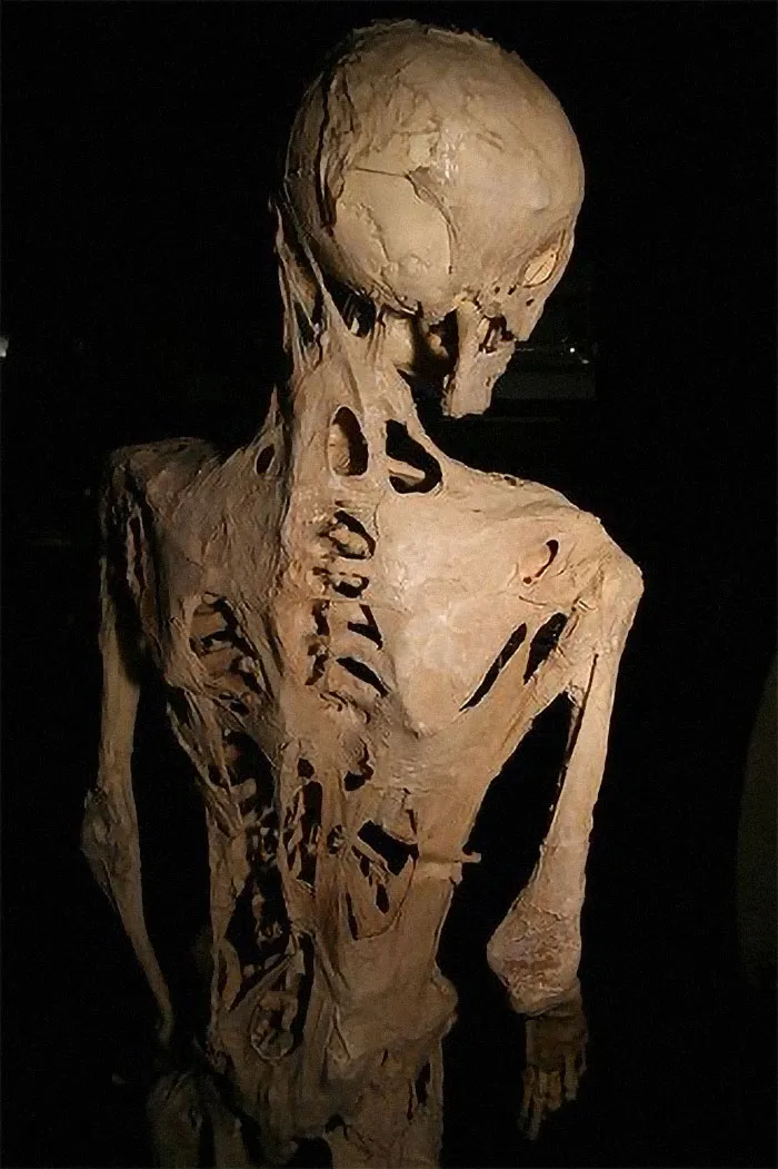 50 Very Spooky Facts From Real Life That You Should Avoid If You Get Scared Easily