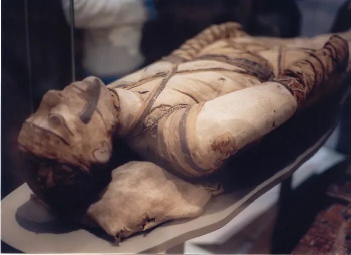 50 Very Spooky Facts From Real Life That You Should Avoid If You Get Scared Easily