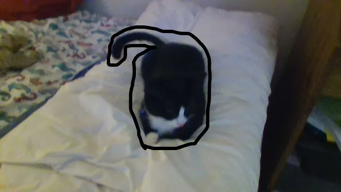 My Cat :d
