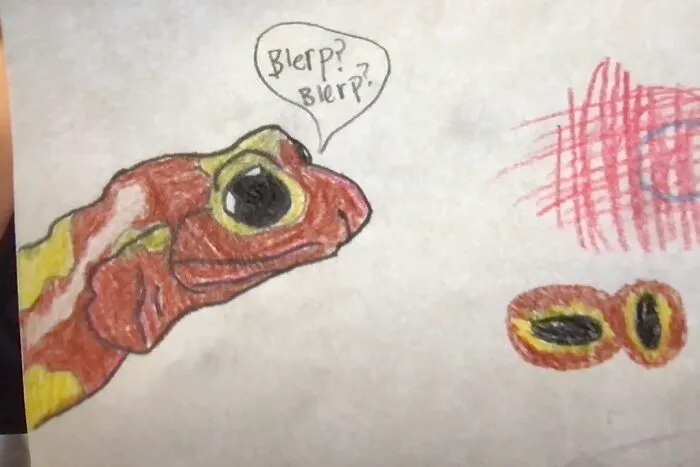 Arboreal Salamander (Pencil And Colored Pencil)