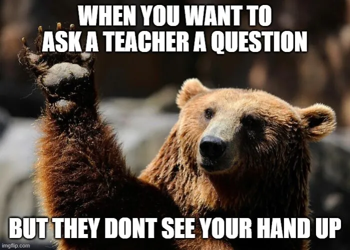 Bear Meme