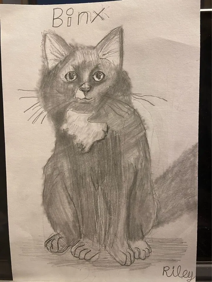 Drawn By My 10 Year Old Son.