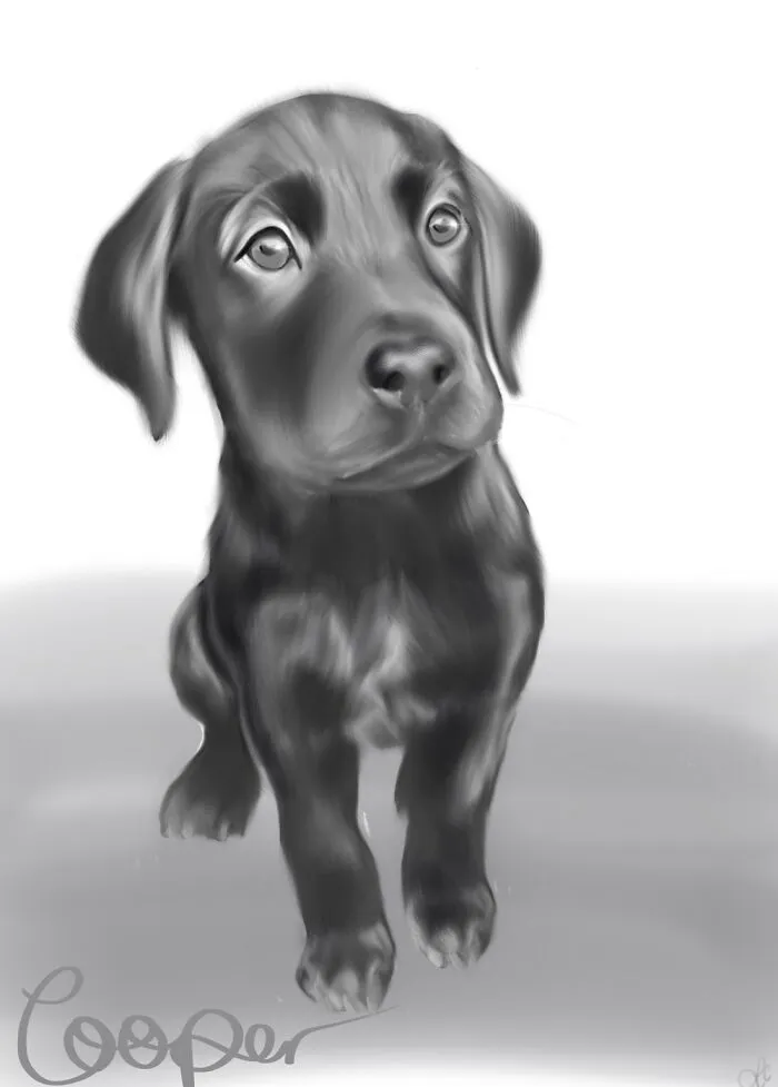 Cooper