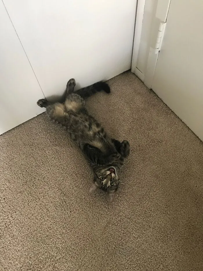 Oliver Channeling His Inner Joker